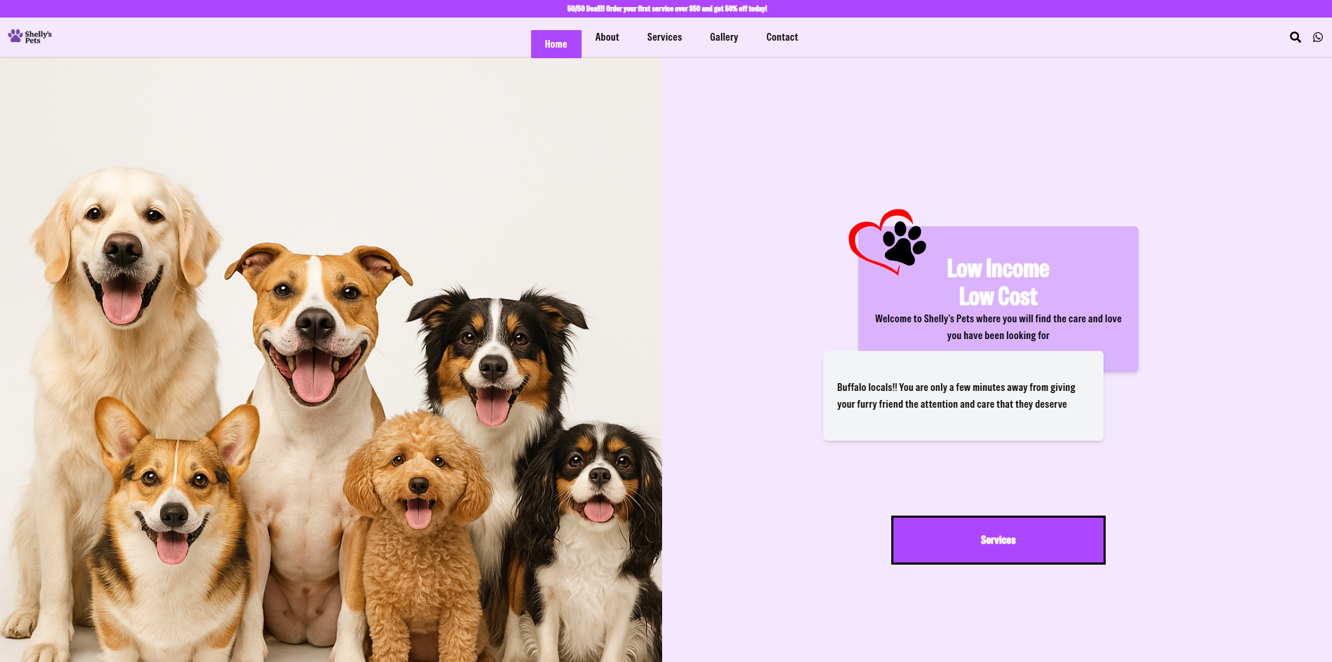 project Shelly's Pets